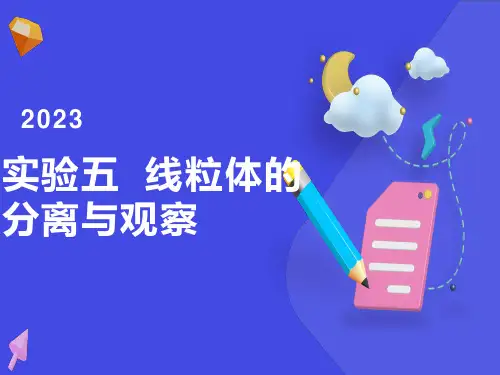 实验五线粒体的分离与观察