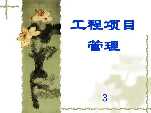 工程项目管理成虎主编管理体制讲义