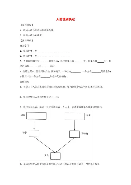 2020八年级生物下册 8.22.3人的性别决定导学案(答案不全)(新版)苏教版