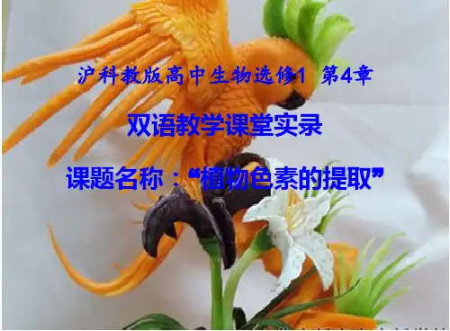 选一植物色素的提取(双语)(共30张PPT)