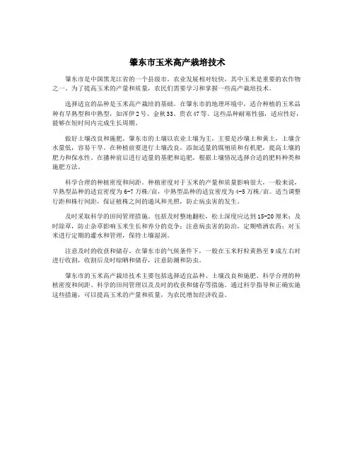 肇东市玉米高产栽培技术