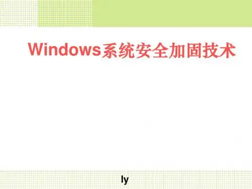 Windows安全系统加固技术
