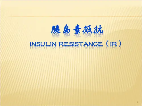 胰岛素抵抗PPT课件