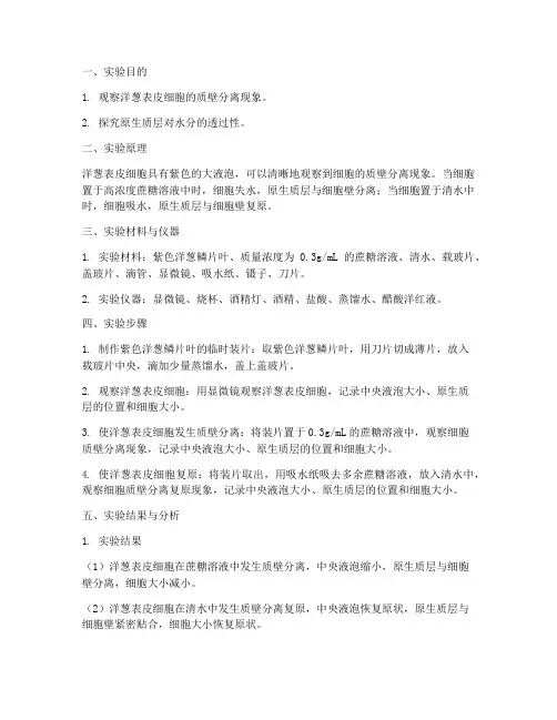 关于紫色洋葱的实验报告