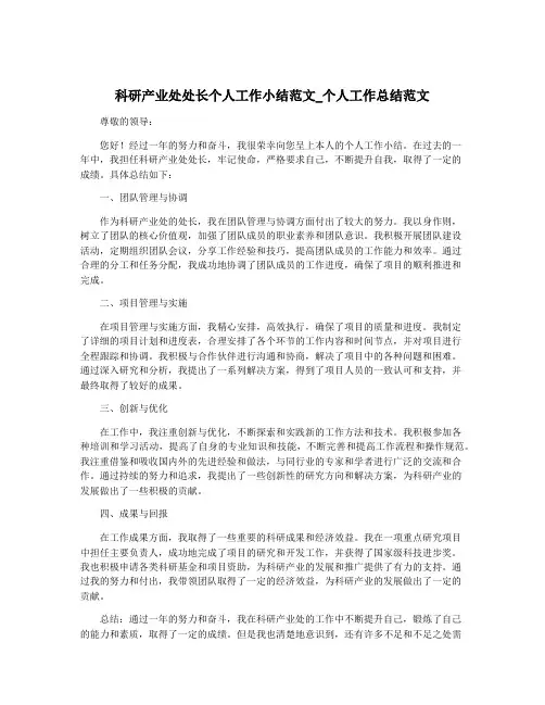 科研产业处处长个人工作小结范文_个人工作总结范文