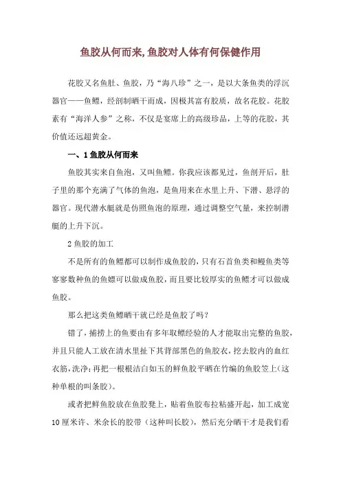 鱼胶从何而来,鱼胶对人体有何保健作用