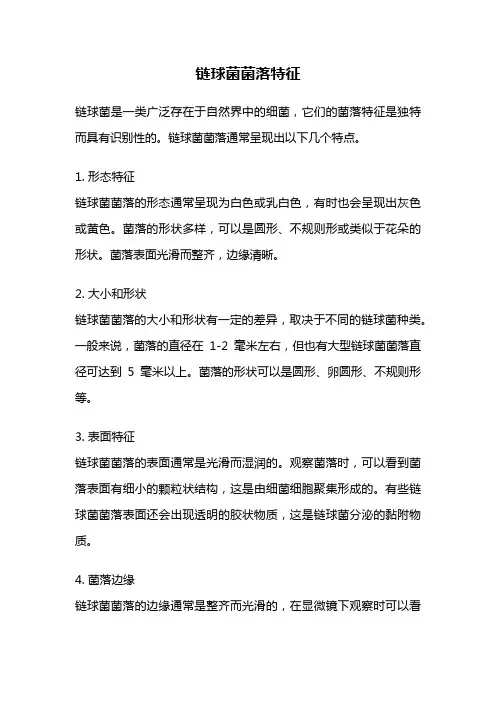 链球菌菌落特征