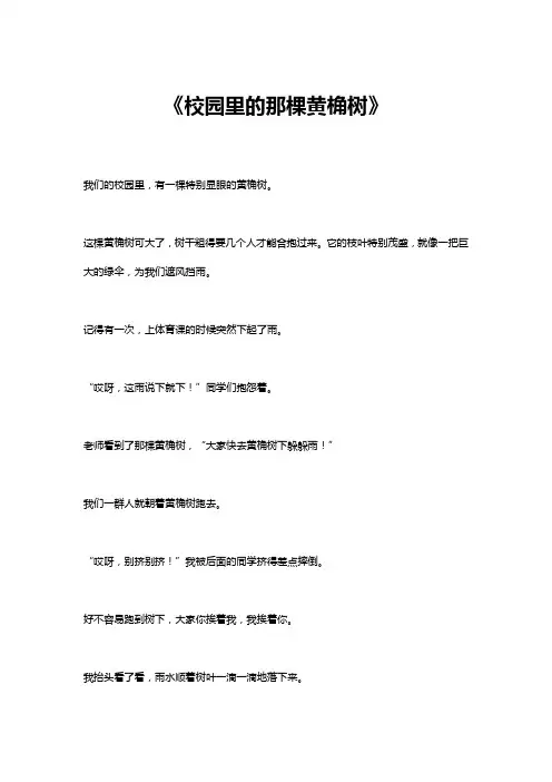 校园里的那棵黄桷树作文