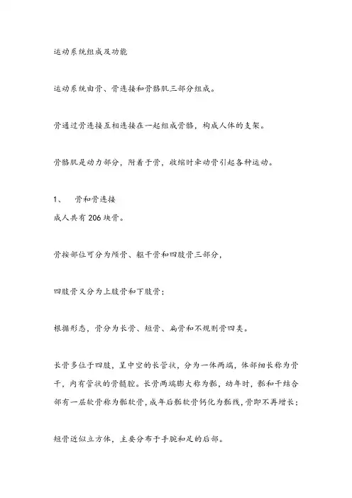 运动系统组成及功能(公共营养师)