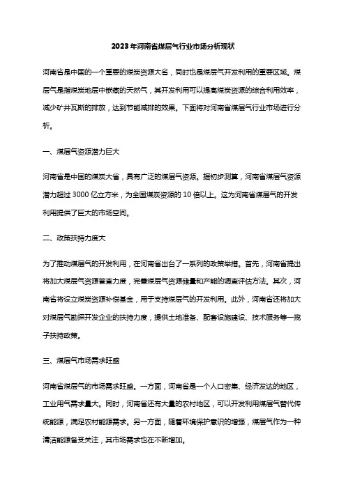 2023年河南省煤层气行业市场分析现状