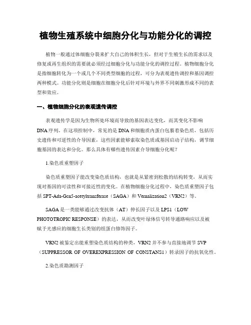 植物生殖系统中细胞分化与功能分化的调控