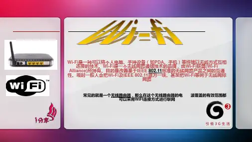 各种无线网络的简介PPT课件