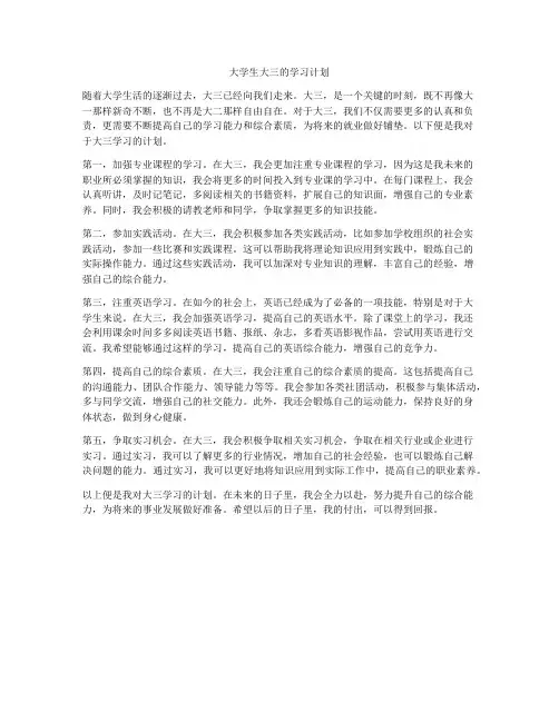 大学生大三的学习计划