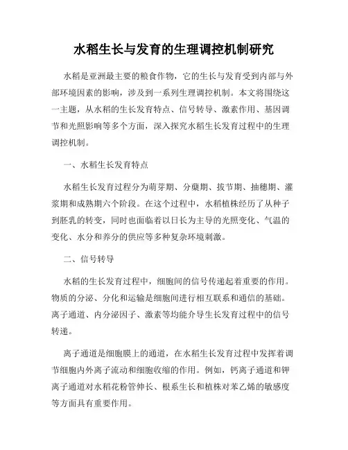 水稻生长与发育的生理调控机制研究