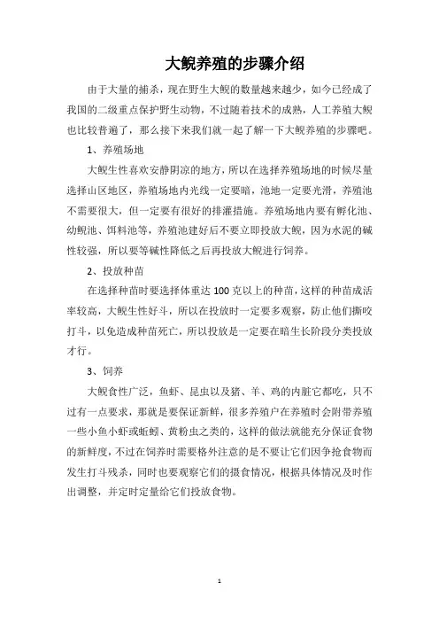 大鲵养殖的步骤介绍