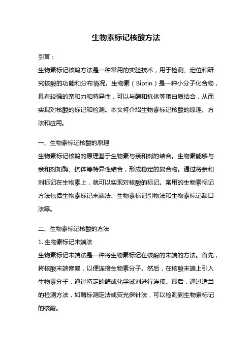 生物素标记核酸方法