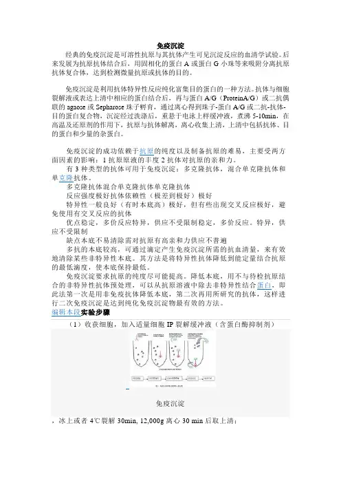免疫沉淀