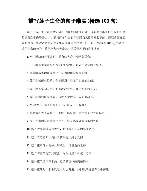 描写莲子生命的句子唯美(精选100句)
