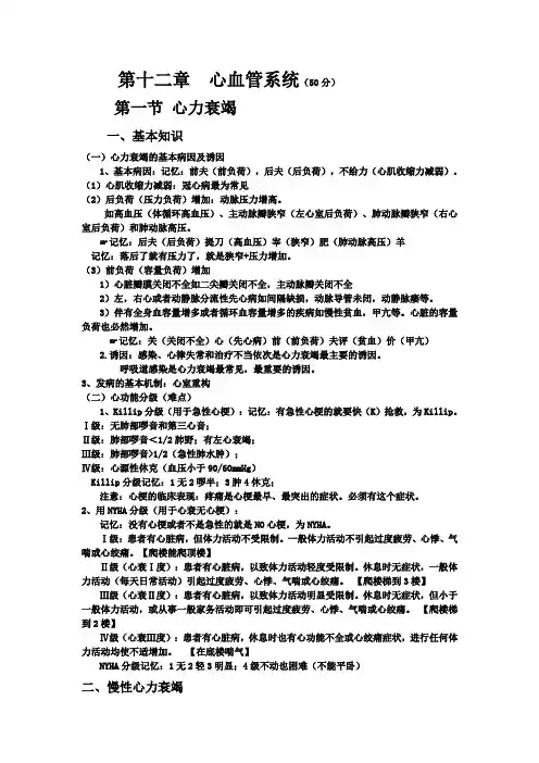 大苗循环系统笔记