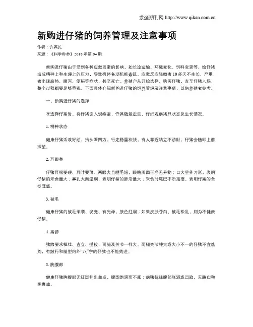 新购进仔猪的饲养管理及注意事项