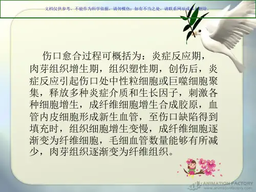 影响伤口愈合的因素课件