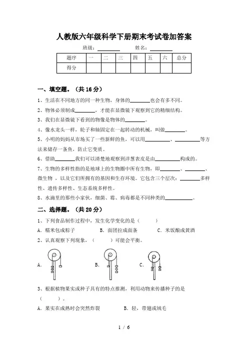 人教版六年级科学下册期末考试卷加答案