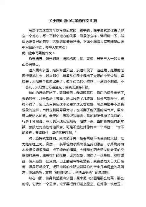 关于爬山途中写景的作文5篇