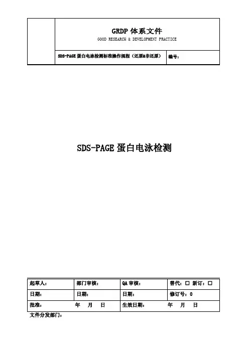 SDS-PAGE蛋白电泳检测标准操作规程(非还原&还原)