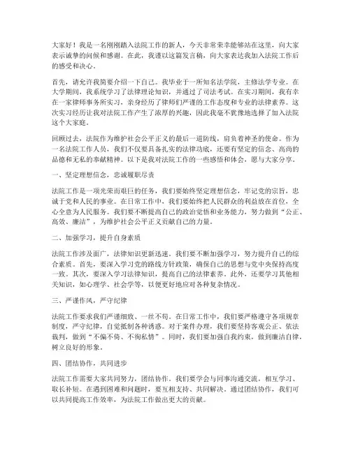 法院工作新人发言稿