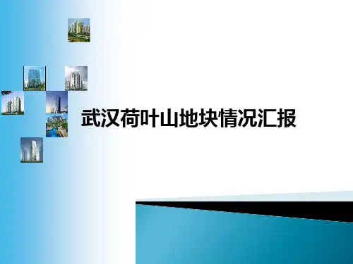 武汉荷叶山项目情况汇报