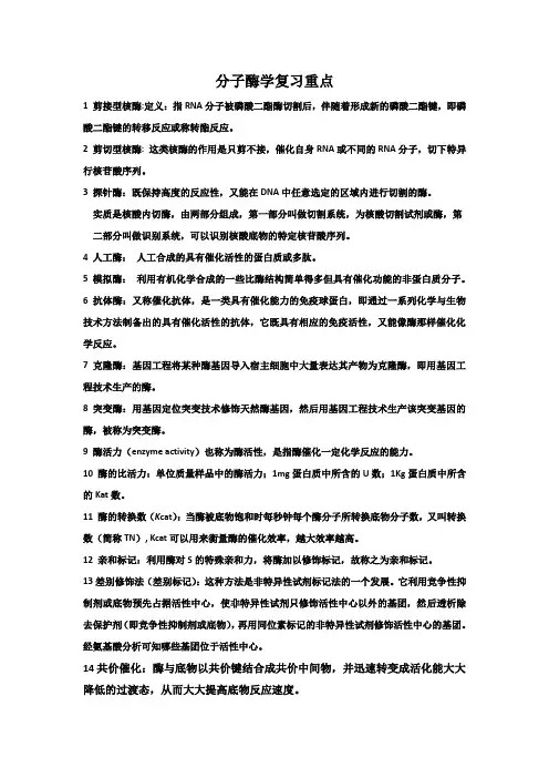 分子酶学名词解释简答