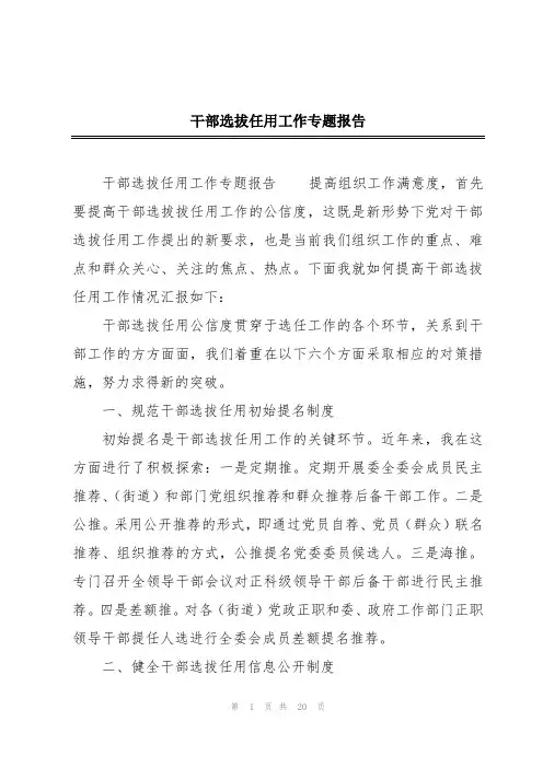 干部选拔任用工作专题报告