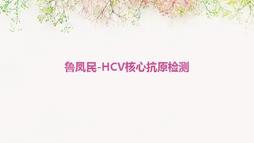 鲁凤民-HCV核心抗原检测
