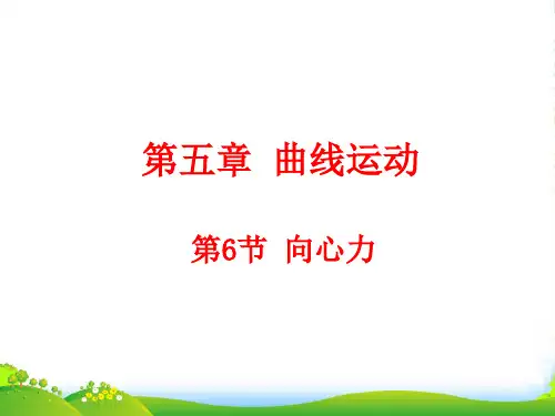 新人教版高一物理必修二教学课件 5.6 向心力(共14张)