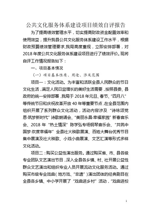 公共文化服务体系建设项目绩效自评报告