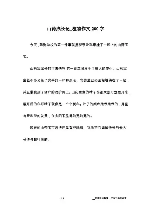 山药成长记_植物作文200字