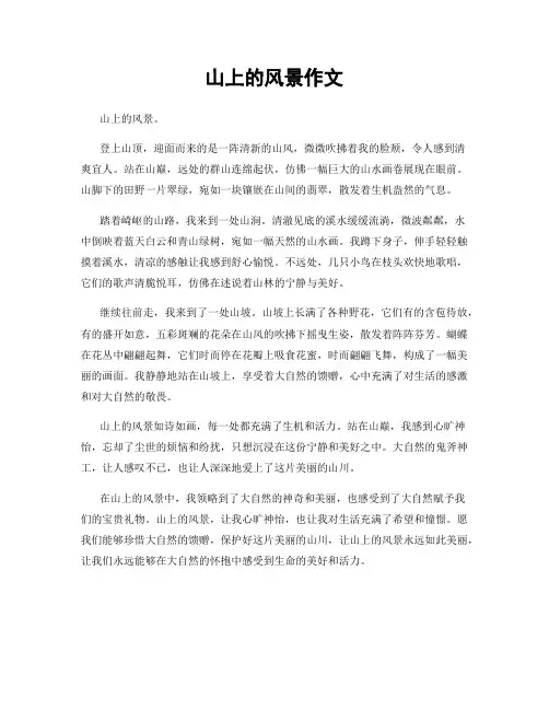 山上的风景作文