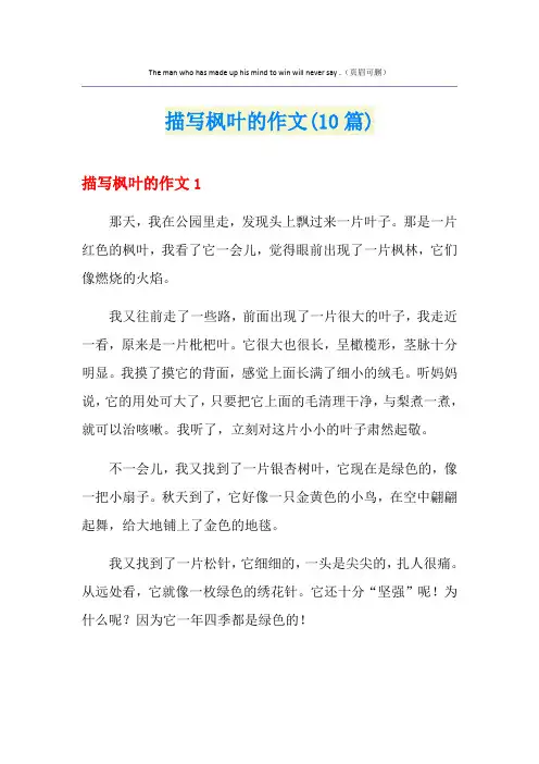 描写枫叶的作文(10篇)