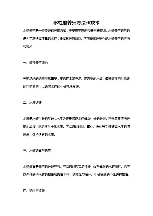 水蛭的养殖方法和技术