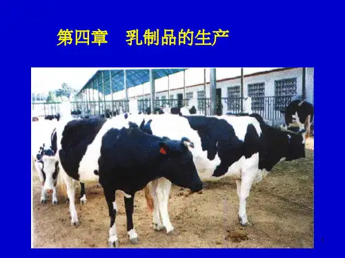 第四章  乳制品的生产ppt课件