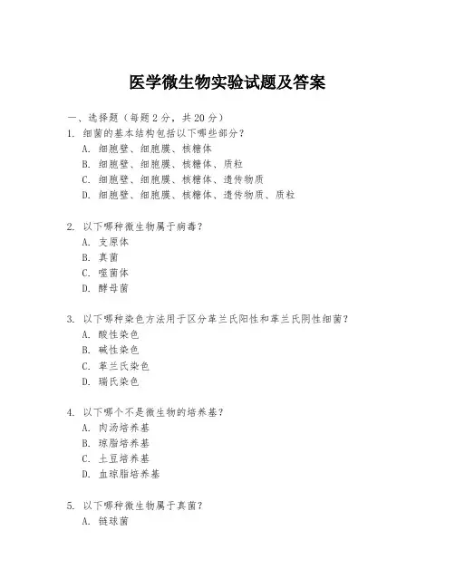 医学微生物实验试题及答案