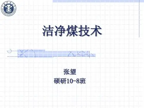洁净煤技术
