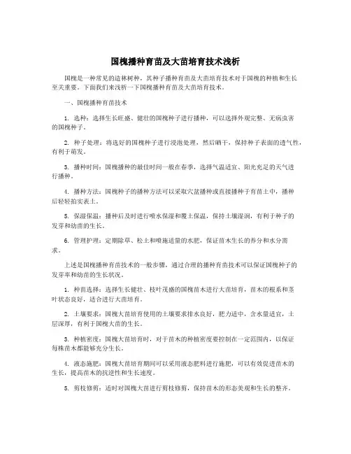 国槐播种育苗及大苗培育技术浅析