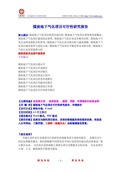 煤炭地下气化项目可行性研究报告