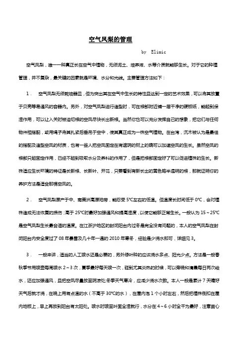 空气凤梨的管理