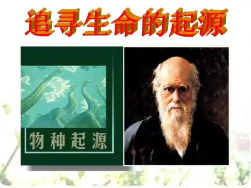 【高中历史】追寻生命的起源ppt12