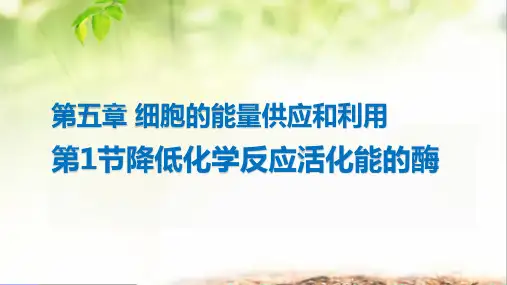 全国优质课一等奖人教版高中生物必修一《降低化学反应活化能的酶第2课时》精美课件