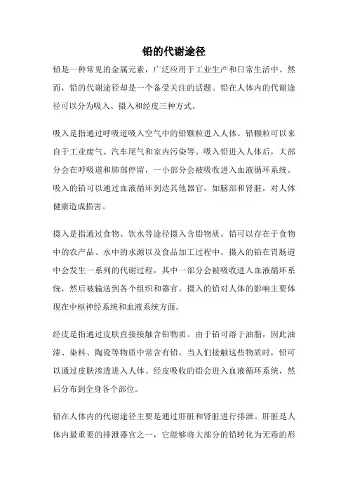 铅的代谢途径
