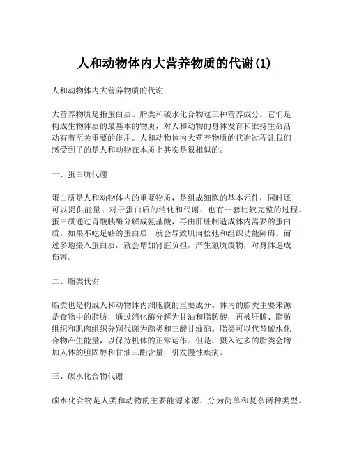人和动物体内大营养物质的代谢(1)