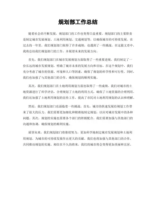 规划部工作总结